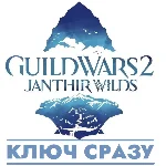 ⚡Guild Wars 2: Janthir Wilds / Arena Ключ Сразу ⚡