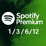 1/3/6/12 SPOTIFY PREMIUM ИНДИВИДУАЛЬНЫЙ/ДУЭТ