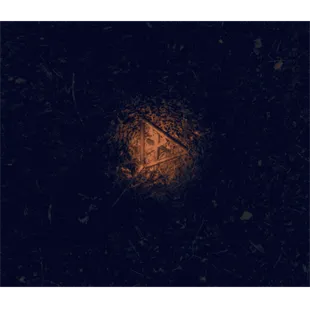 The Inculcation | XBOX+PC | На любой аккаунт