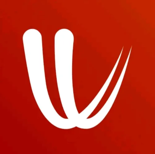 Подписка на премиум-аккаунт Windy.com на 1 год