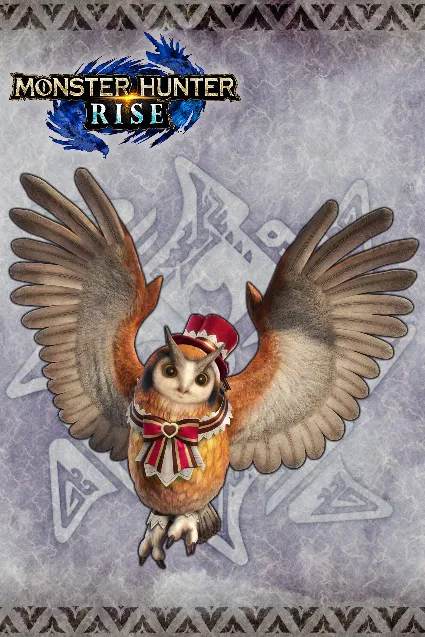 "Pretty Present" Cohoot outfit | XBOX+PC | На любой аккаунт