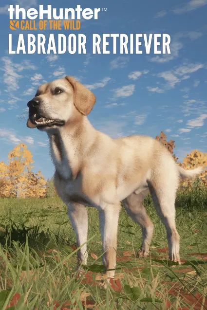 theHunter: Call of the Wild™ - Labrador Retriever | XBOX | На любой аккаунт