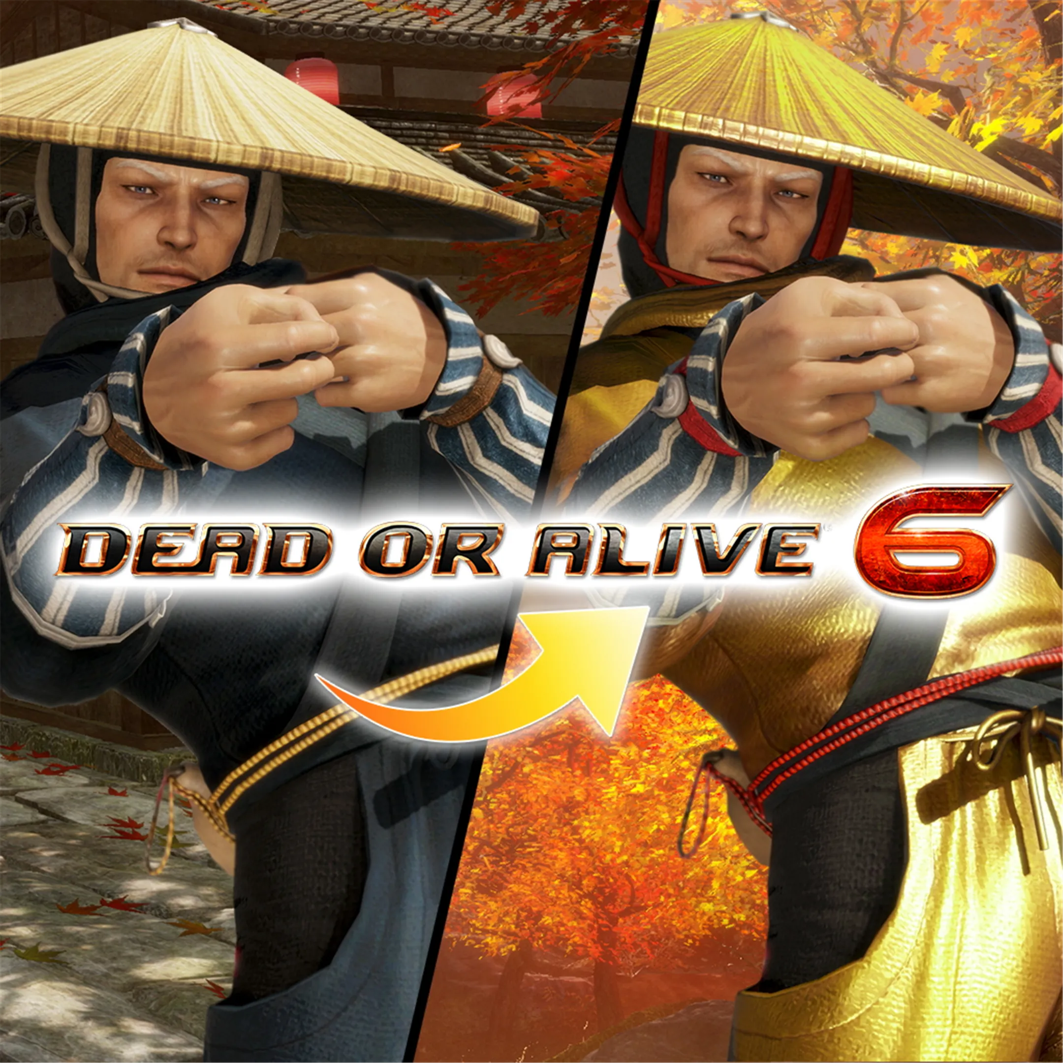 DOA6 Morphing Ninja Costume - Brad Wong | XBOX | На любой аккаунт