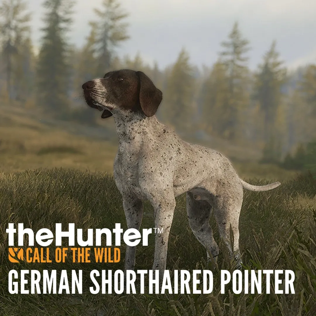 theHunter: Call of the Wild™ - German Shorthaired Pointer | XBOX | На любой аккаунт