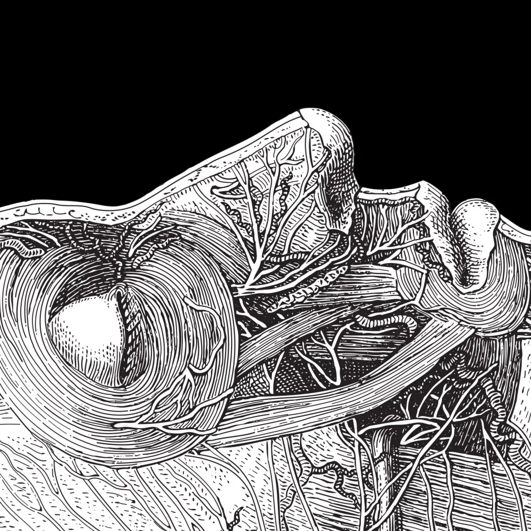 Rememoried | XBOX | На любой аккаунт