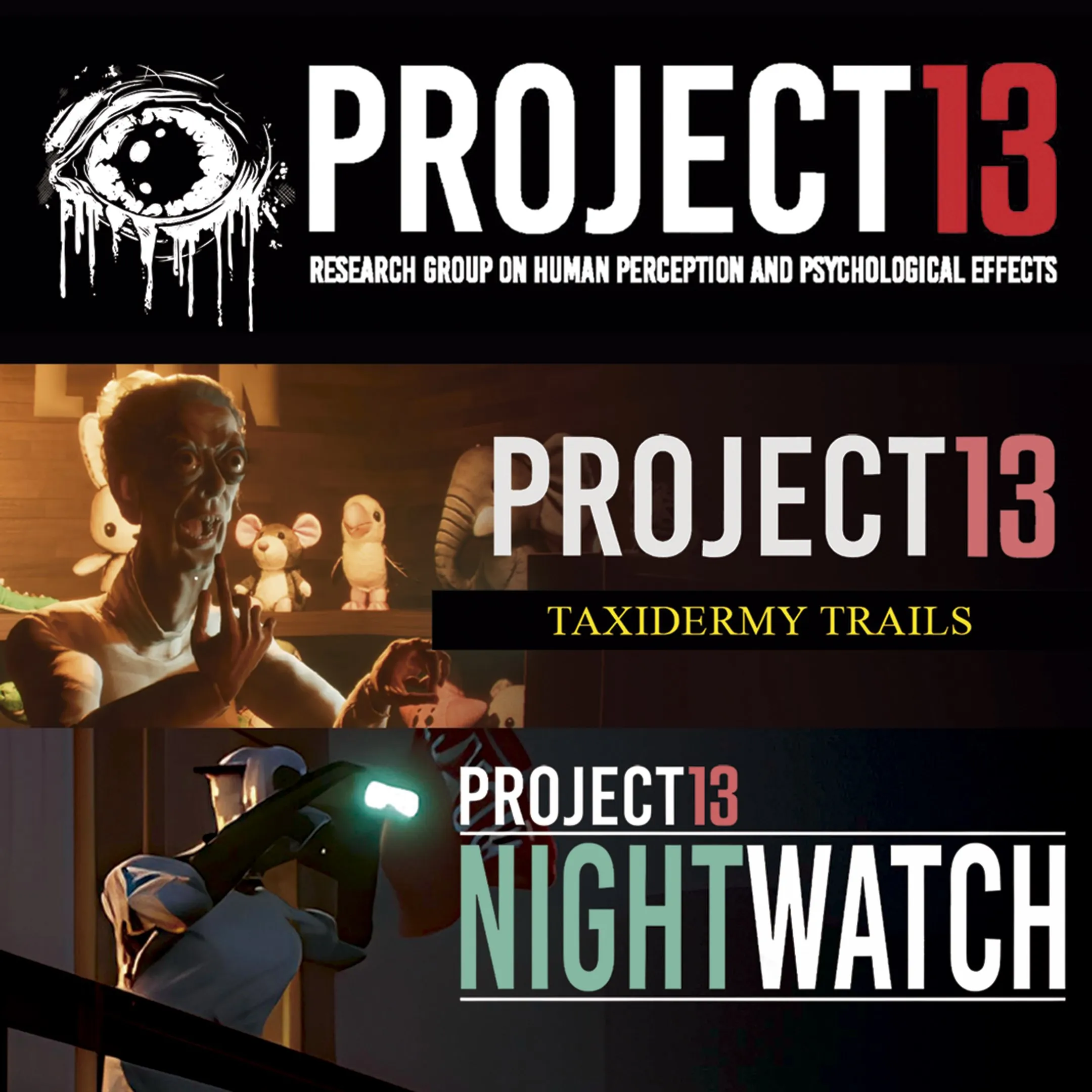 Project 13 Bundle | XBOX | На любой аккаунт