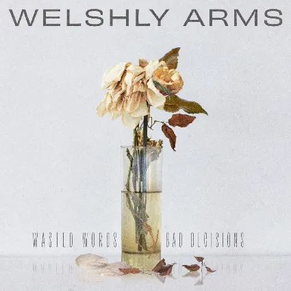 "Love Is Not A Weapon" - Welshly Arms | XBOX | На любой аккаунт