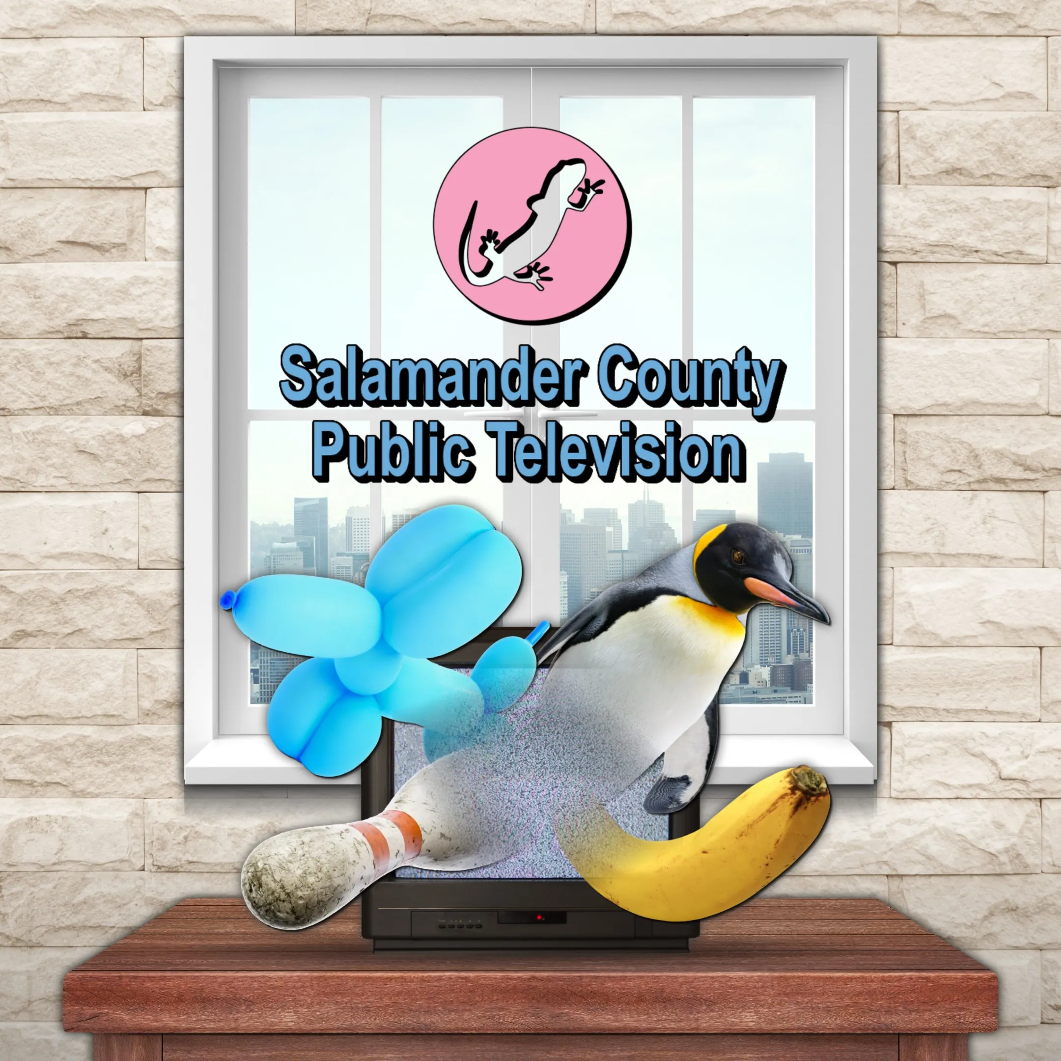 Salamander County Public Television | XBOX | На любой аккаунт