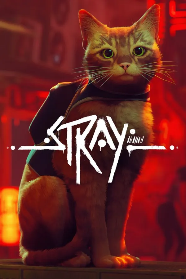 Stray Xbox – Purchase for Your Account