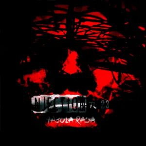 Injection π23 'Tabula Rasa' | XBOX | На любой аккаунт