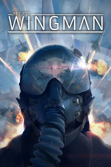 Project Wingman | XBOX+PC | На любой аккаунт