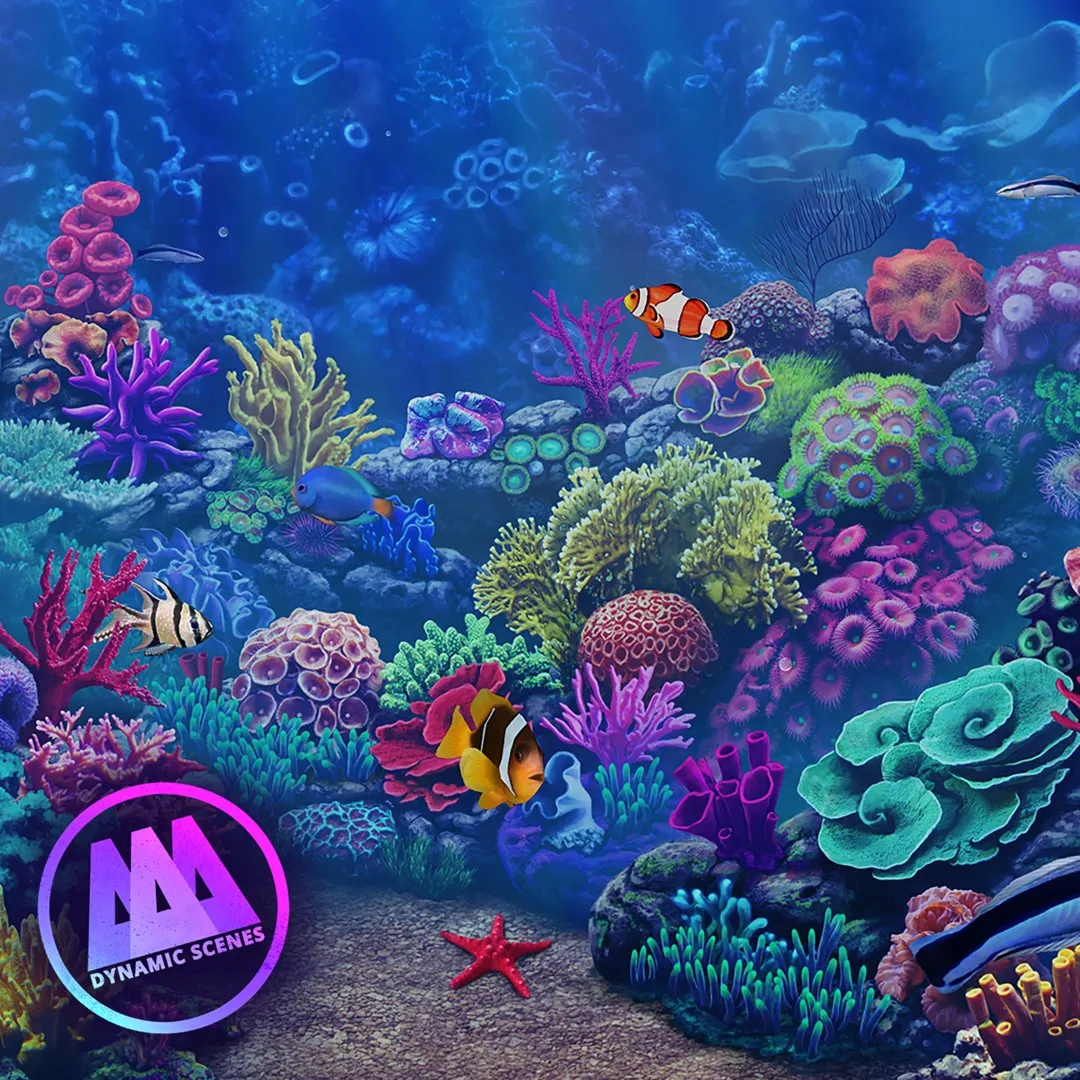 AAA Dynamic Scenes - Amazing Coral Reef Dynamic Scene | XBOX | На любой аккаунт