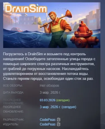 DrainSim АВТОДОСТАВКА STEAM РОССИЯ