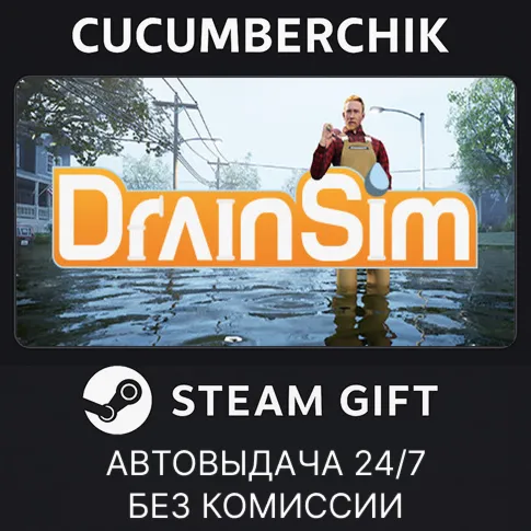 DrainSimSTEAM GIFT AUTORU+МИР