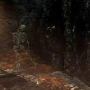 Dungeon Nightmare | XBOX+PC | На любой аккаунт