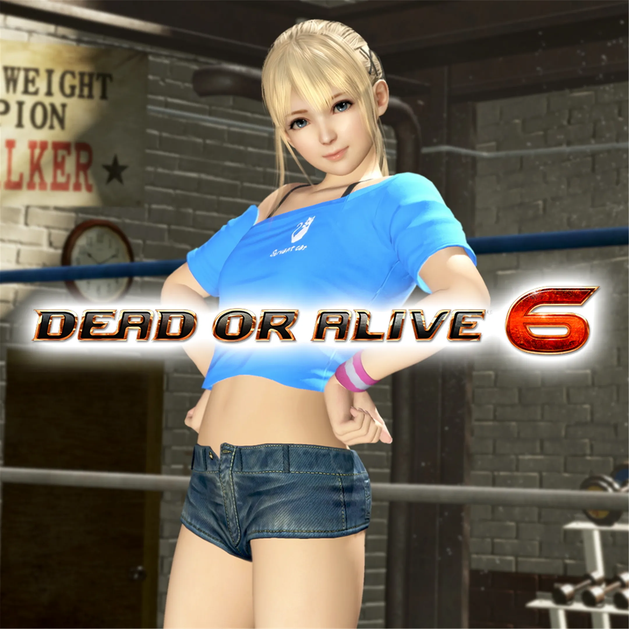 DOA6 Energy Up! Training Wear - Marie Rose | XBOX | На любой аккаунт