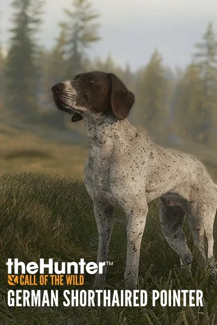 theHunter: Call of the Wild™ - German Shorthaired Pointer | PC | На любой аккаунт