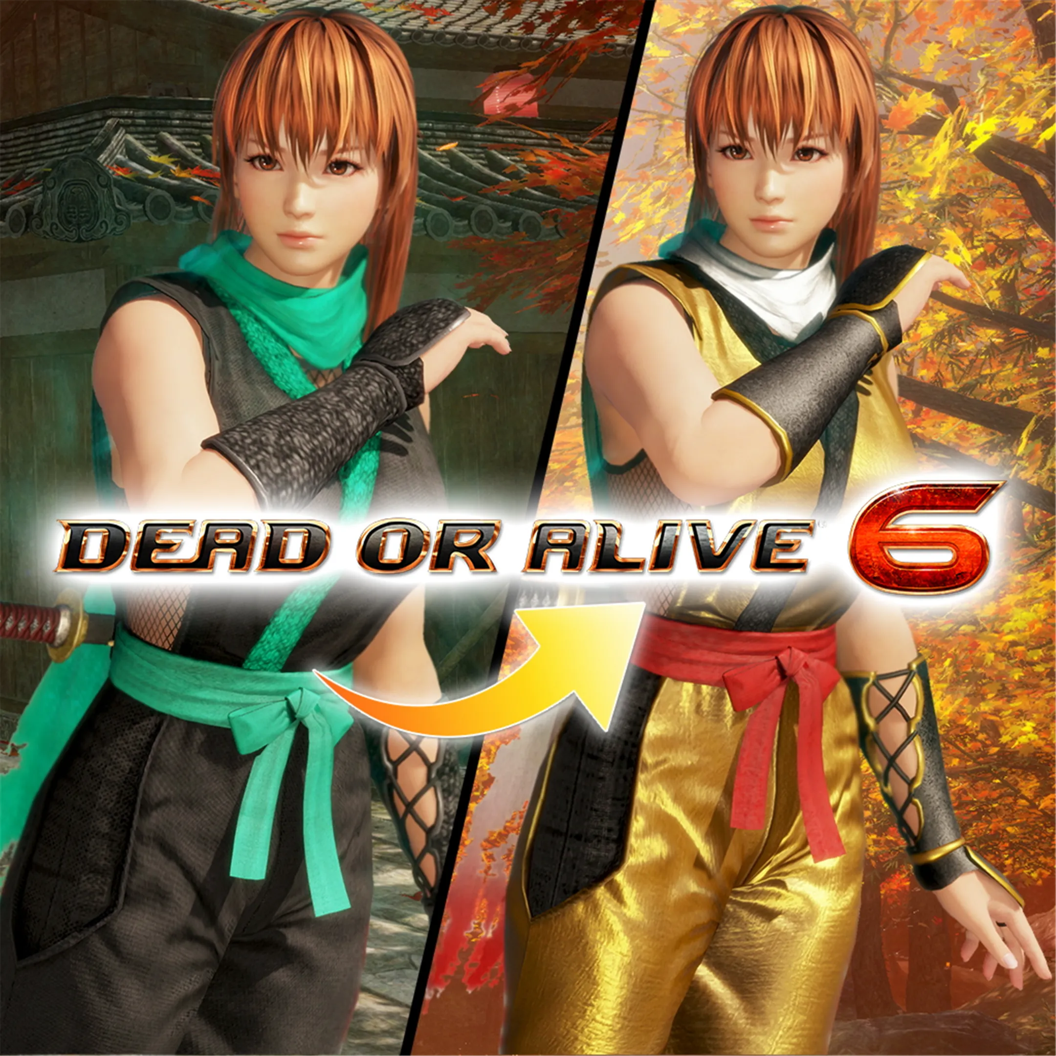 DOA6 Morphing Ninja Costume - Phase 4 | XBOX | На любой аккаунт