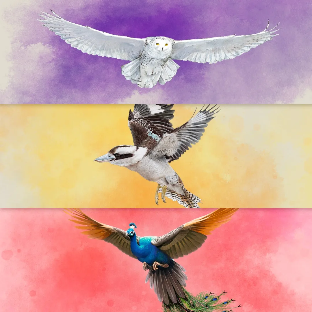 European + Oceania + Asia | XBOX+PC | На любой аккаунт