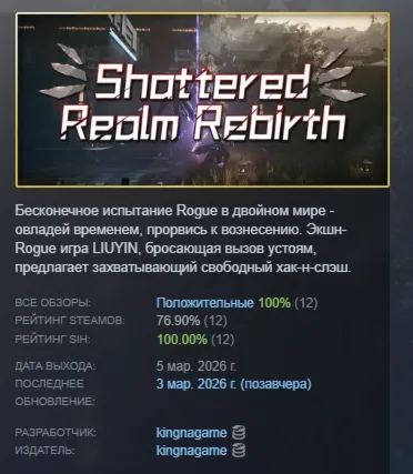 Shattered Realm Rebirth АВТОДОСТАВКА STEAM РОССИЯ