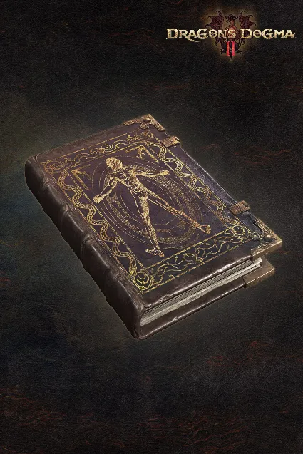 Dragon's Dogma 2: Art of Metamorphosis - Character Editor | XBOX | На любой аккаунт