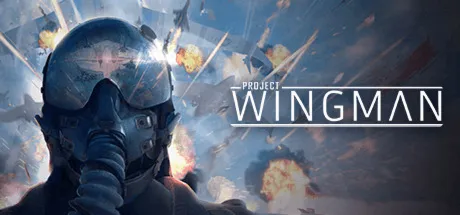 Project Wingman · Steam Gift · АВТОДОСТАВКА
