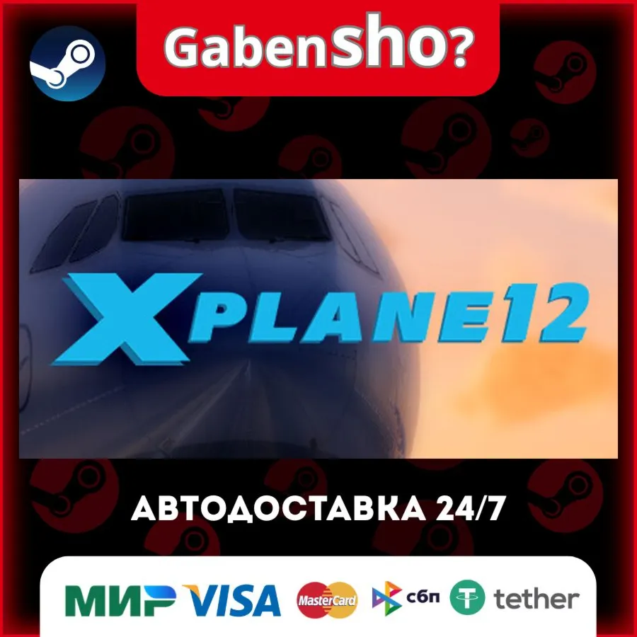 X-Plane 12 СТИМ Steam Gift