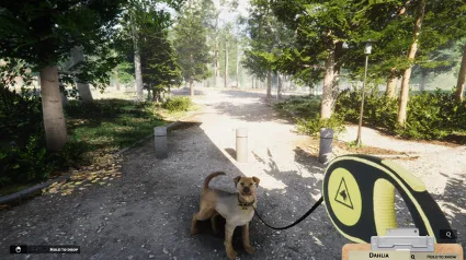 Animal Shelter ✅ STEAM GIFT AUTO ✅ RU+МИР