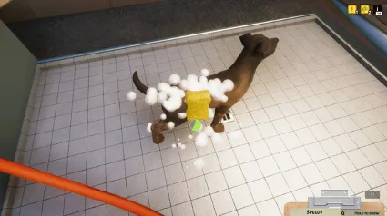 Animal Shelter ✅ STEAM GIFT AUTO ✅ RU+МИР