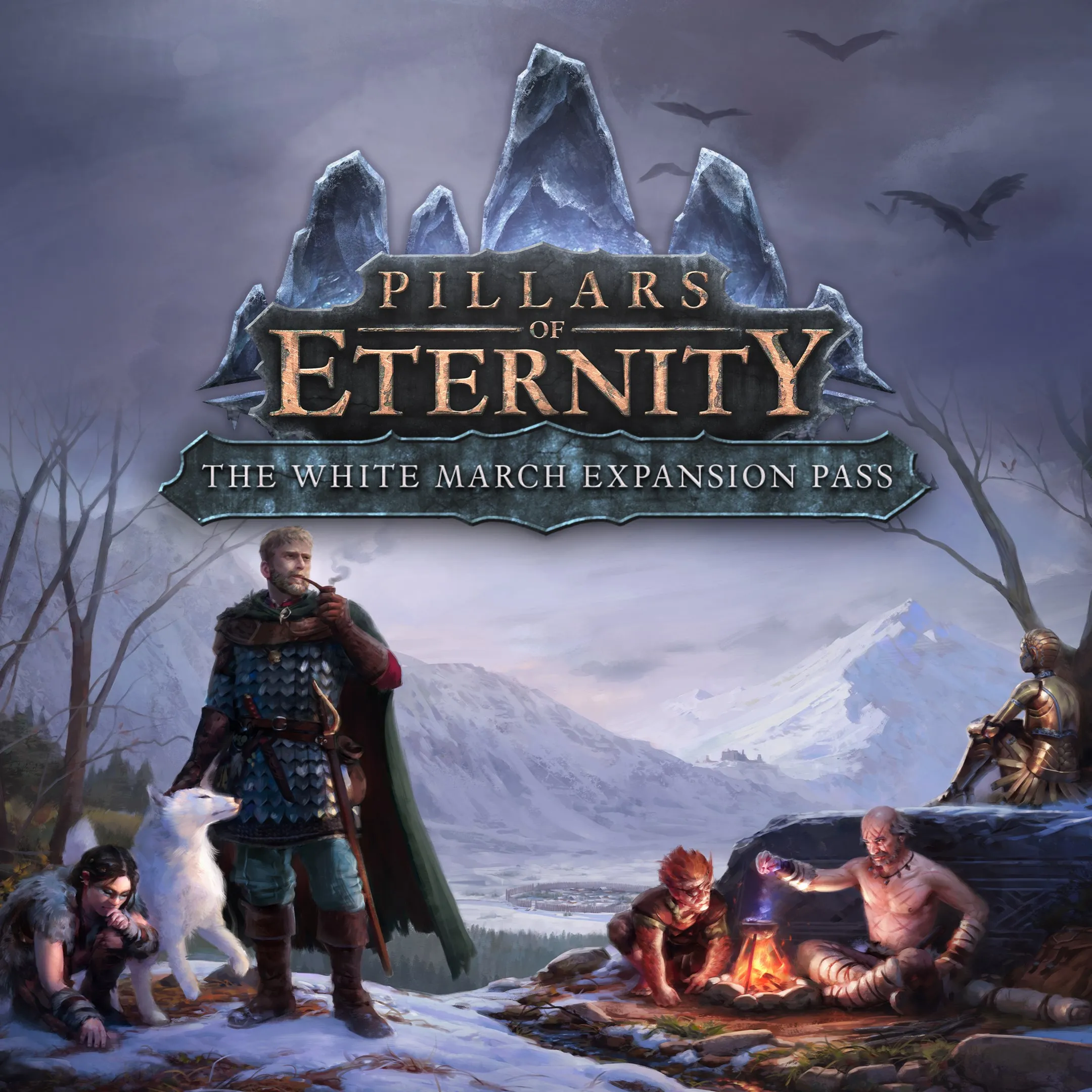 Pillars of Eternity: The White March Expansion Pass | PC | На любой аккаунт