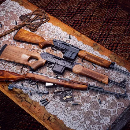 theHunter: Call of the Wild™ - Rapid Hunt Rifle Pack | XBOX | На любой аккаунт