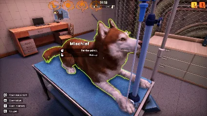 ️ВСЕ СТРАНЫ+РОССИЯ️ Animal Shelter 2 - Vet Clinic DLC