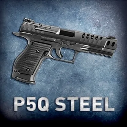 P5Q STEEL | XBOX | На любой аккаунт