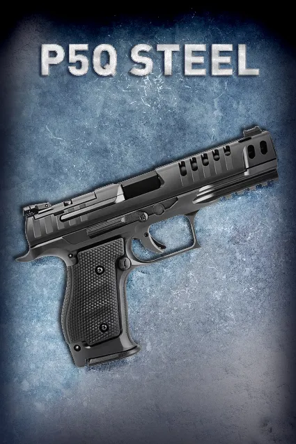 P5Q STEEL | XBOX | На любой аккаунт