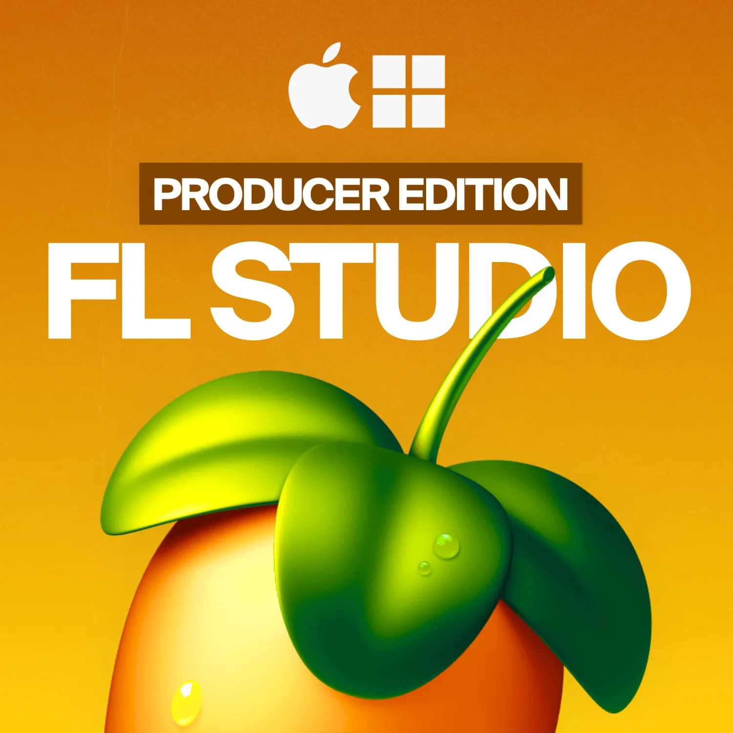 FL STUDIO 2025 PRODUCER EDITION [ЛИЦЕНЗИЯ] Навсегда