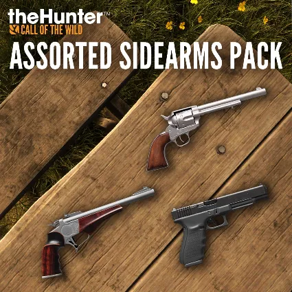 theHunter Call of the Wild™ - Assorted Sidearms Pack - Windows 10 | PC | На любой акк