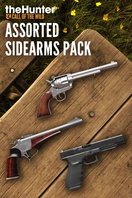 theHunter Call of the Wild™ - Assorted Sidearms Pack - Windows 10 | PC | На любой акк