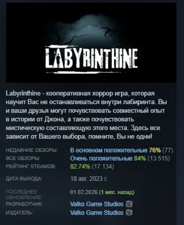 Labyrinthine АВТОДОСТАВКА STEAM РОССИЯ