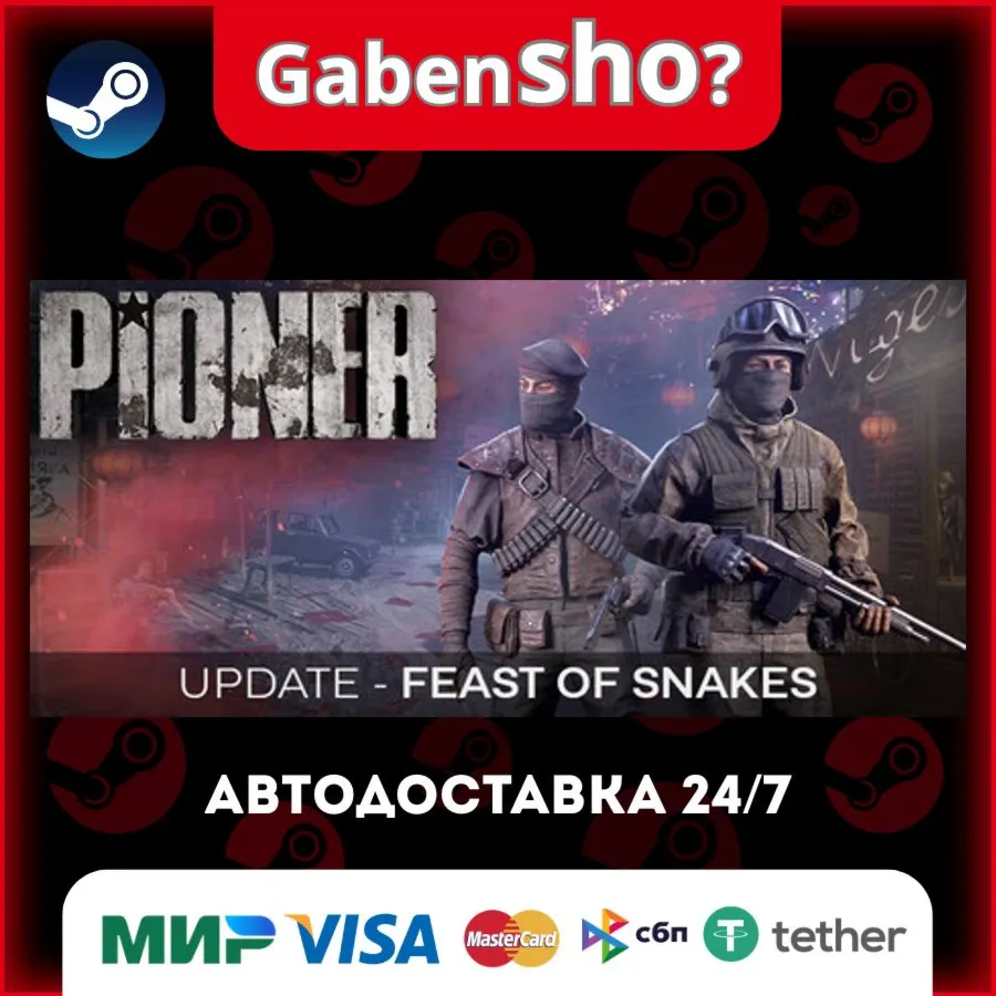 PIONER СТИМ Steam Gift