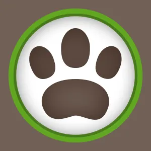 Rubber Bandits: Go Wild Pack | XBOX+PC | На любой аккаунт