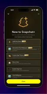 Подписка Snapchat Plus на 1 и 12 месяцев через авторизацию. Работает по всему миру.