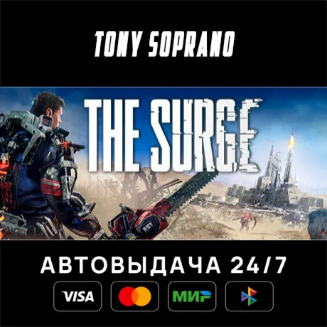 The Surge STEAM GIFT