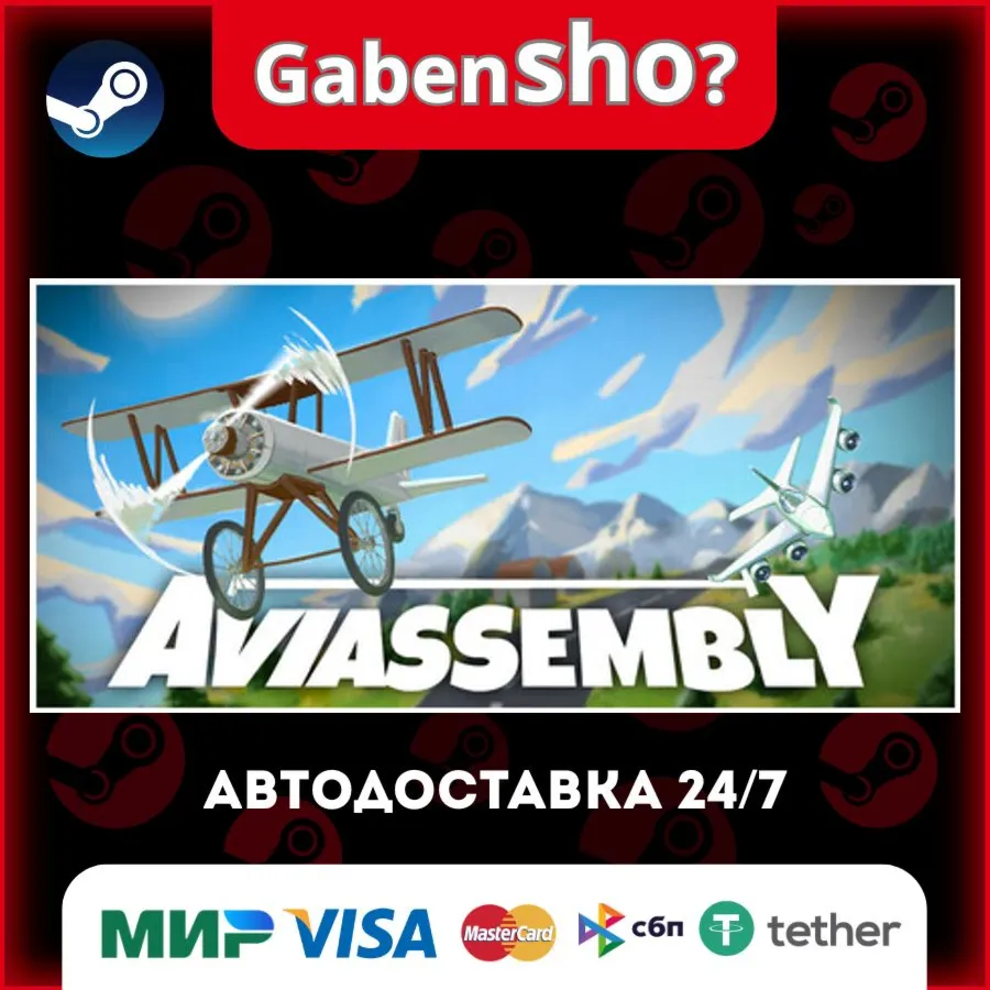 Aviassembly СТИМ Steam Gift