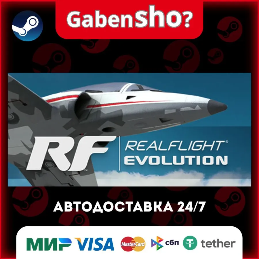RealFlight Evolution СТИМ Steam Gift