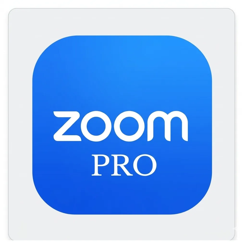 Подписка на Zoom Workplace Pro на 28 дней