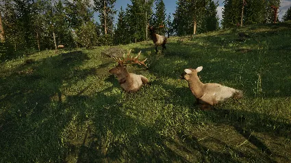 Ranger’s Path: National Park Simulator - STEAM RU