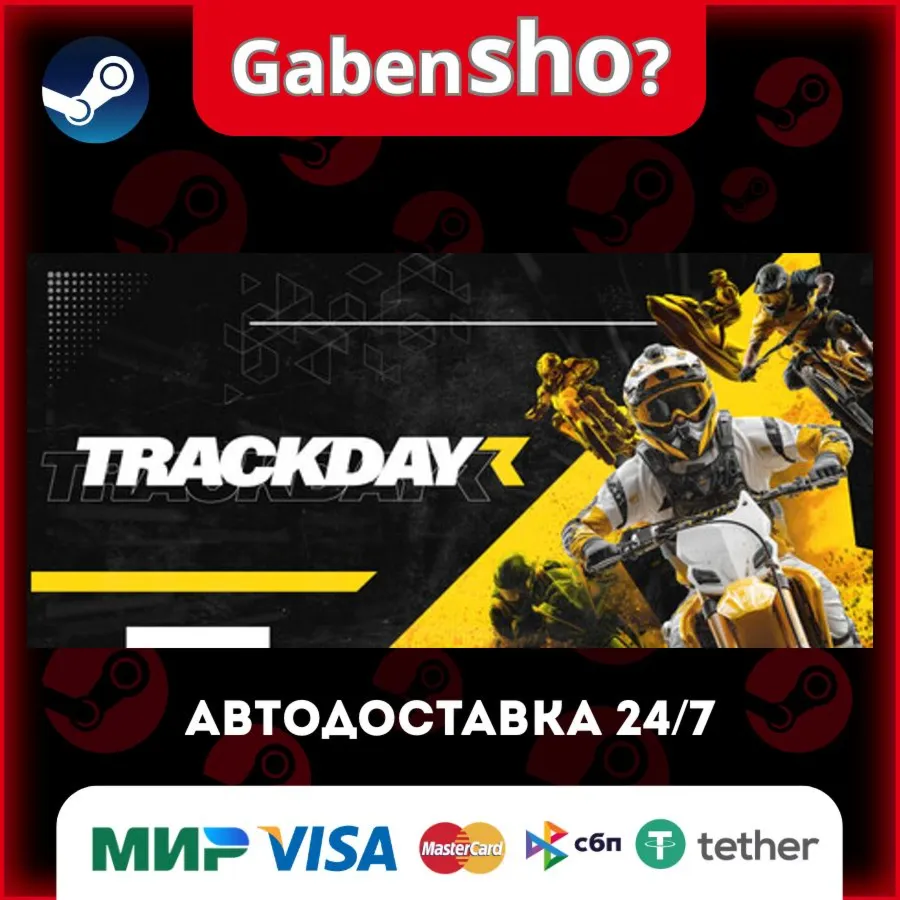 TrackDayR СТИМ Steam Gift