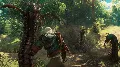 The Witcher 3: Wild Hunt – Blo — фото 4