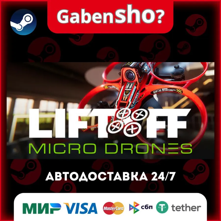 Liftoff®: Micro Drones СТИМ Steam Gift