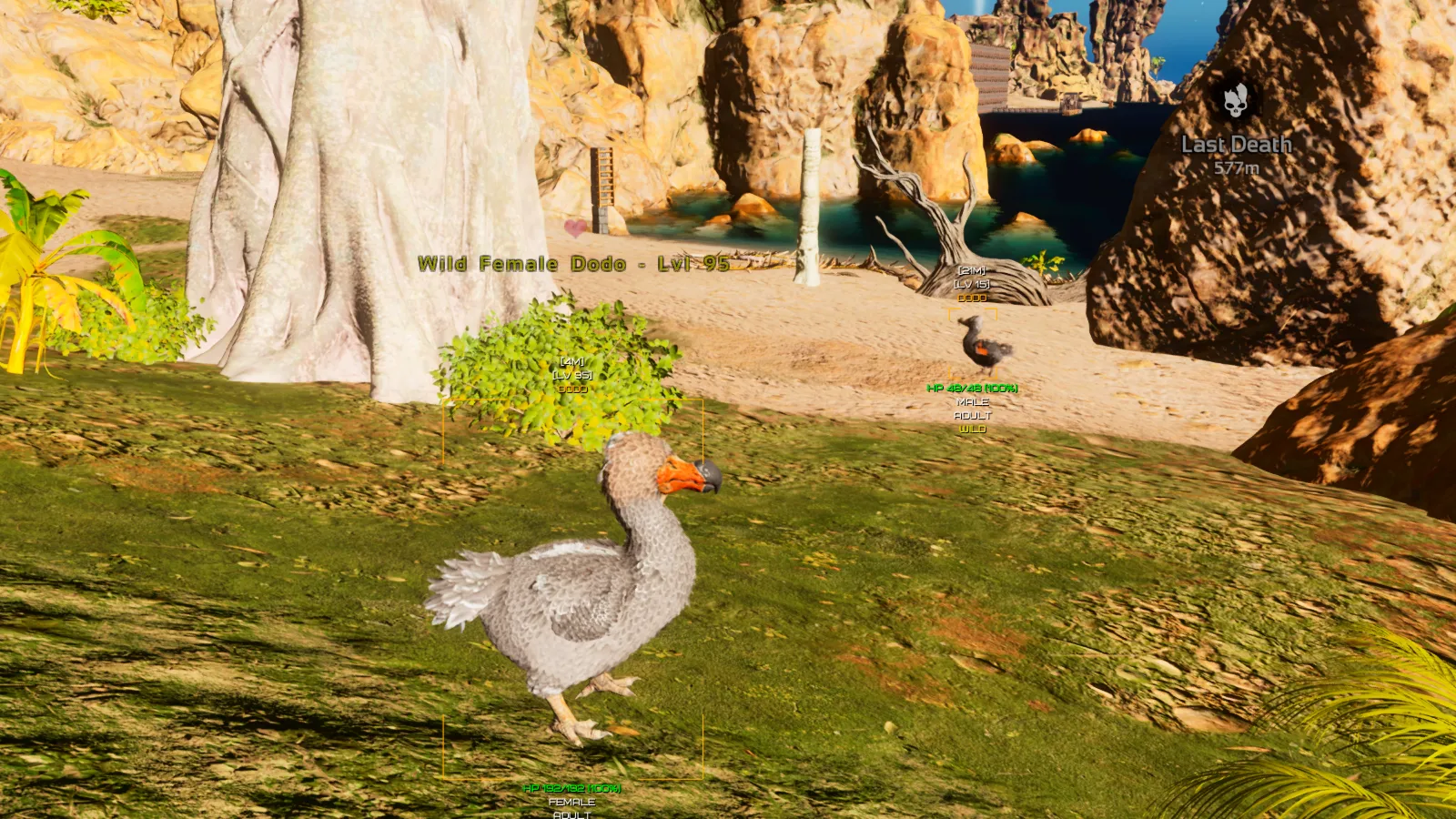 Phoenix ARK Ascended